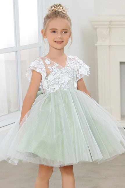 Robe Dentelle Tulle Vert Pâle