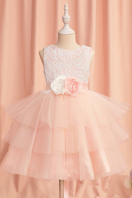 Robe Mariage Rose Dentelle