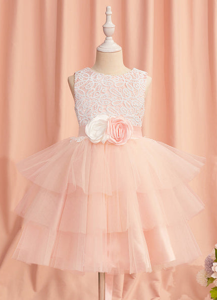 Robe Mariage Rose Dentelle