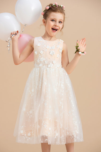Robe Dentelle Élégance Nuptiale
