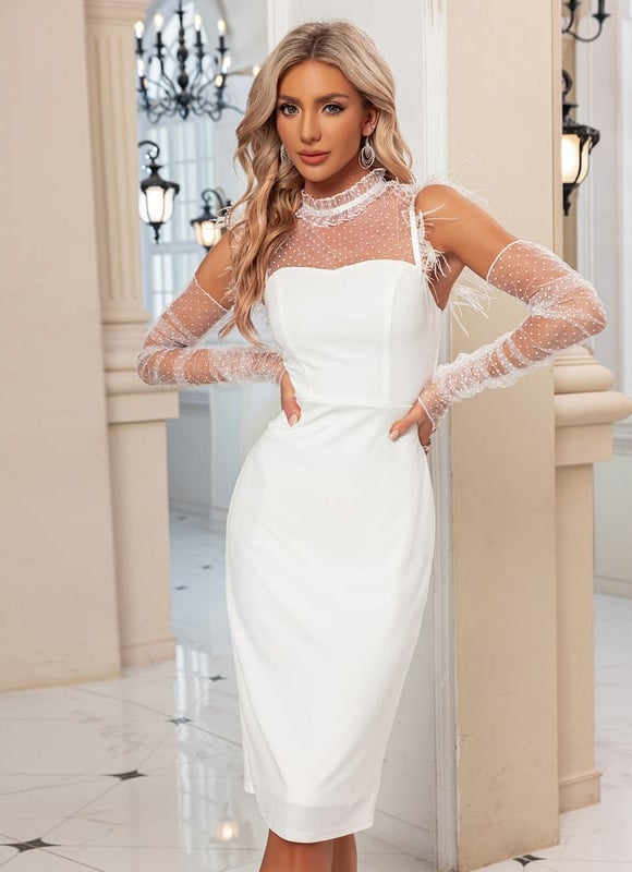 Robe Dentelle Chic Transparente